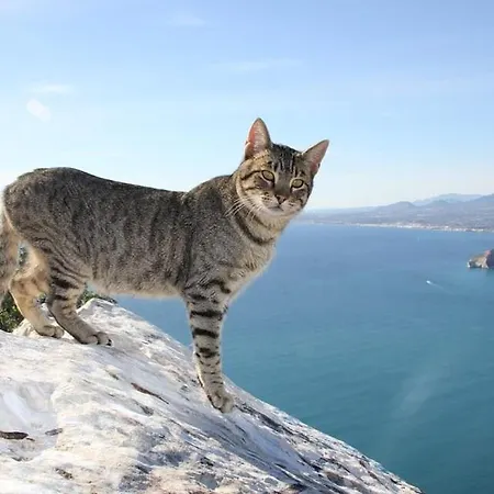 Cronos - Plusholidays 빌라